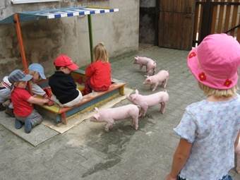 Schweine, Projekte, Vernissage Juni07 007